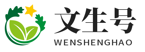 文生号